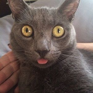 Meet your Posher, Kylie